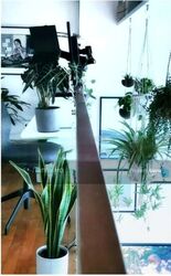 Soho 188 (D8), Apartment #460674241